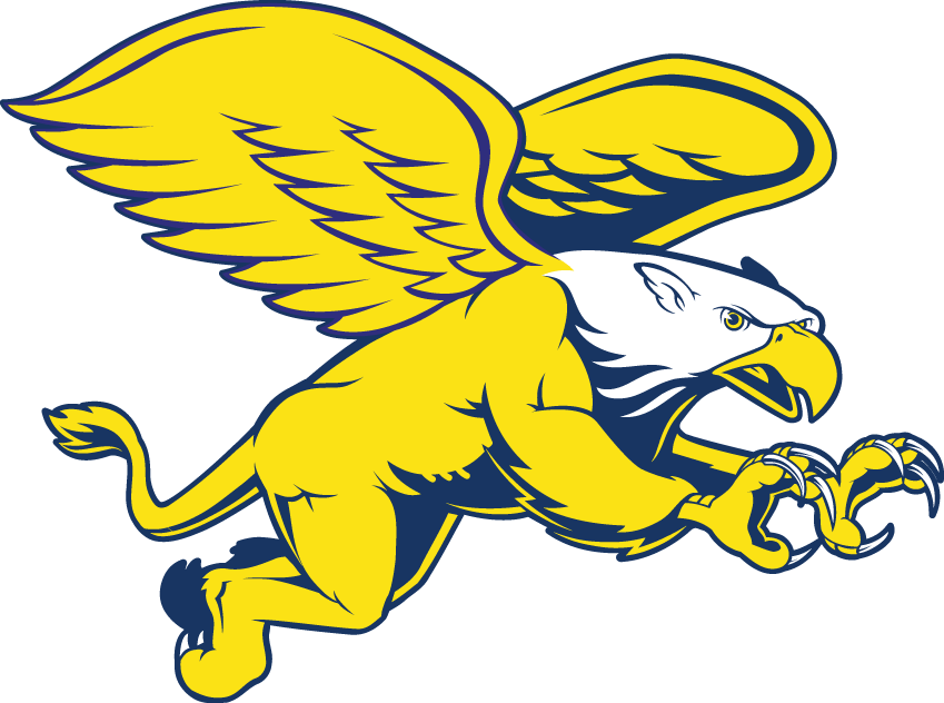 Canisius Golden Griffins 1999-2005 Secondary Logo v2 diy iron on heat transfer
